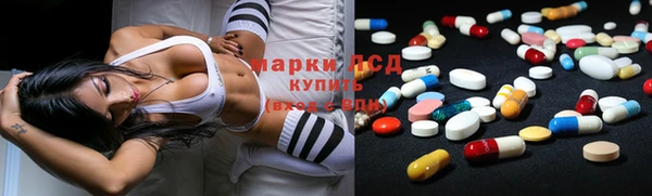 гидра Алексин