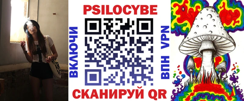 Псилоцибиновые грибы Psilocybe Сосновка